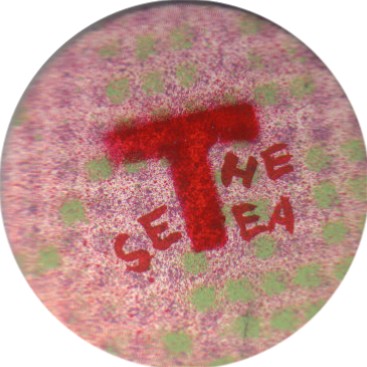 Badge1a